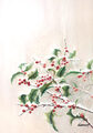 Image Not Available